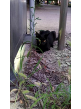 God Field - ゆうきの女の子ブログ画像