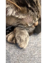 God Field - ゆうきの女の子ブログ画像