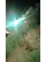 God Field - ゆうきの女の子ブログ画像