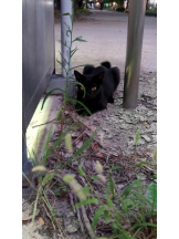 God Field - ゆうきの女の子ブログ画像