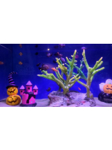 God Field - ゆうきの女の子ブログ画像