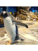 God Field - ゆうきの女の子ブログ画像