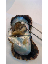 God Field - ゆうきの女の子ブログ画像