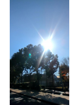 God Field - ゆうきの女の子ブログ画像