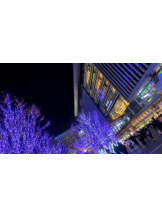 God Field - ゆうきの女の子ブログ画像