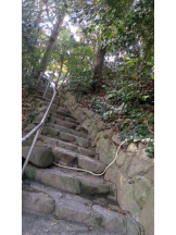 God Field - ゆうきの女の子ブログ画像