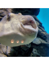 God Field - ゆうきの女の子ブログ画像