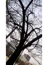 God Field - ゆうきの女の子ブログ画像