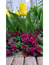 God Field - ゆうきの女の子ブログ画像