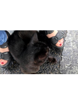 God Field - ゆうきの女の子ブログ画像