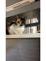 God Field - ゆうきの女の子ブログ画像