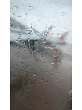 God Field - ゆうきの女の子ブログ画像