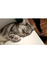 God Field - ゆうきの女の子ブログ画像