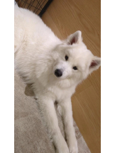 God Field - ゆうきの女の子ブログ画像