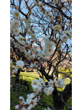 God Field - ゆうきの女の子ブログ画像