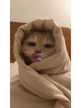 God Field - ゆうきの女の子ブログ画像