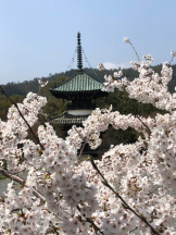 God Field - ゆうきの女の子ブログ画像