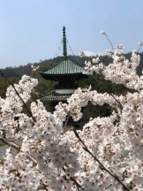 God Field - ゆうきの女の子ブログ画像