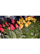 God Field - ゆうきの女の子ブログ画像