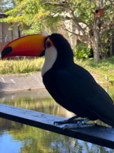 God Field - みかの女の子ブログ画像