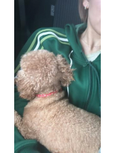 God Field - みかの女の子ブログ画像