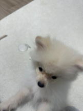 God Field - みかの女の子ブログ画像