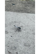 God Field - みかの女の子ブログ画像