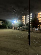 God Field - みかの女の子ブログ画像