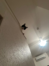 God Field - みかの女の子ブログ画像