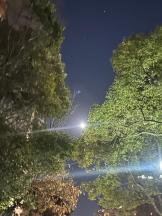 God Field - みかの女の子ブログ画像