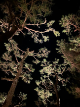 God Field - みかの女の子ブログ画像