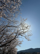 God Field - みかの女の子ブログ画像