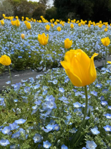 God Field - みかの女の子ブログ画像