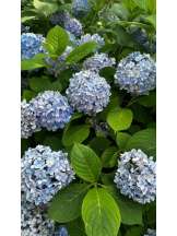 God Field - みかの女の子ブログ画像