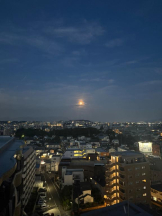 God Field - みかの女の子ブログ画像