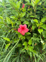 God Field - みかの女の子ブログ画像