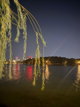 God Field - みかの女の子ブログ画像