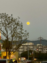 God Field - みかの女の子ブログ画像