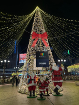 God Field - みかの女の子ブログ画像