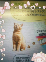 ViVian - ひなみの女の子ブログ画像