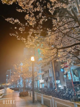 ViVian - ひなみの女の子ブログ画像