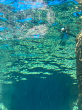 ViVian - ひなみの女の子ブログ画像