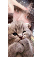 ViVian - ひなみの女の子ブログ画像