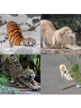 ViVian - ひなみの女の子ブログ画像