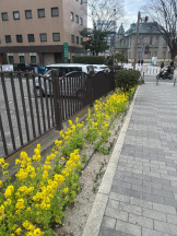 ViVian - ひなみの女の子ブログ画像