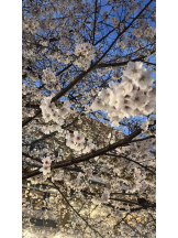 ViVian - ひなみの女の子ブログ画像