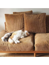 ViVian - ひなみの女の子ブログ画像