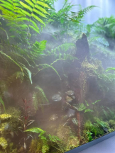 ViVian - ひなみの女の子ブログ画像