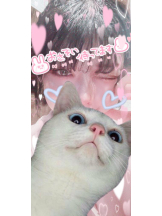 ViVian - ひなみの女の子ブログ画像