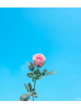 ViVian - ひなみの女の子ブログ画像